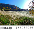 福岡県の人気観光スポット英彦山鷹巣原高原のススキ 138957956
