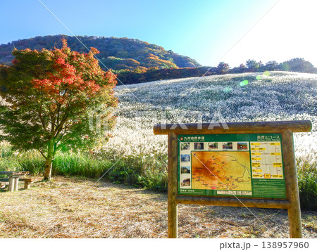 福岡県田川郡にあるススキが美しい英彦山鷹巣原高原 福岡県田川郡にあるススキが美しい英彦山鷹巣原高原 138957960