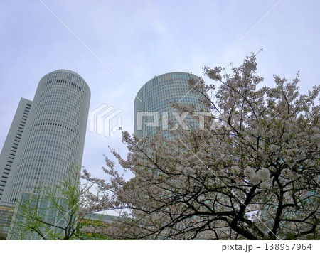 JRセントラルタワーズと桜 138957964