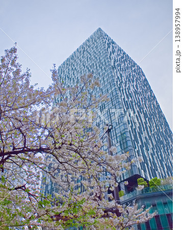 大名古屋ビルヂングと桜 138957994