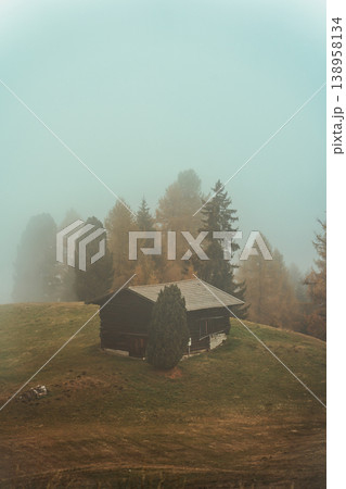 Wooden hut in misty landscape on autumn hill with pine trees Wooden hut in misty landscape on autumn hill with pine trees 138958134