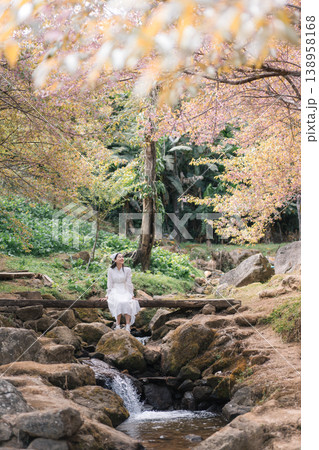 Attractive woman in dress enjoying on wooden bridge by stream and pink wild himalayan cherry trees in rural scene Attractive woman in dress enjoying on wooden bridge by stream and pink wild himalayan cherry trees in rural scene 138958168