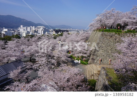 岡山県津山市にあるさくら名所100選のひとつ「鶴山公園(津山城趾)」 岡山県津山市にあるさくら名所100選のひとつ「鶴山公園(津山城趾)」 138958182