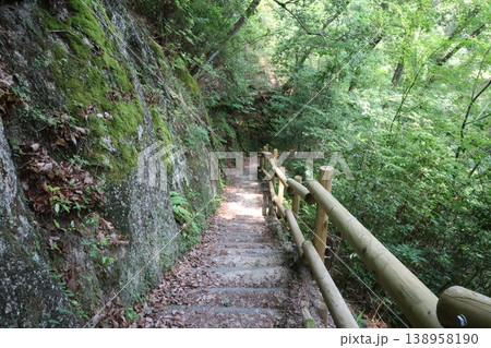 緑に囲まれた小道 緑に囲まれた小道 138958190
