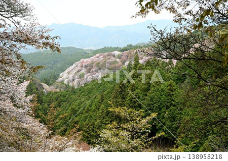 世界遺産「紀伊山地の霊場と参道」吉野山の桜 138958218