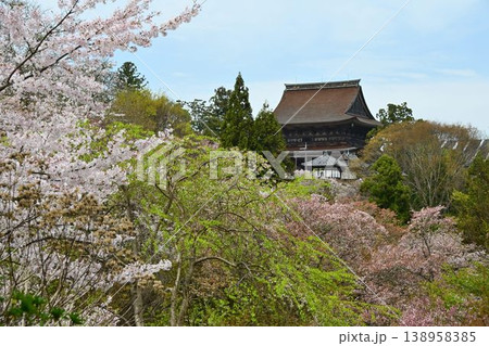 世界遺産「紀伊山地の霊場と参道」吉野山の桜 世界遺産「紀伊山地の霊場と参道」吉野山の桜 138958385