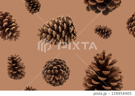 Pattern with pine cones Pattern with pine cones 138958405