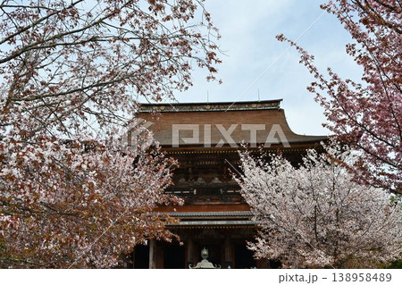 世界遺産「紀伊山地の霊場と参道」吉野山の桜 138958489