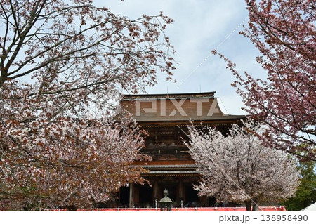 世界遺産「紀伊山地の霊場と参道」吉野山の桜 138958490