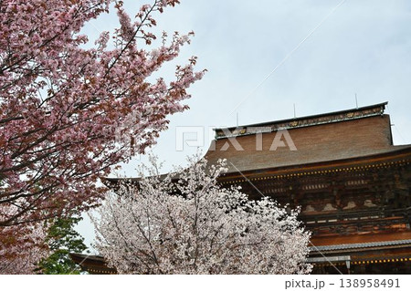 世界遺産「紀伊山地の霊場と参道」吉野山の桜 世界遺産「紀伊山地の霊場と参道」吉野山の桜 138958491