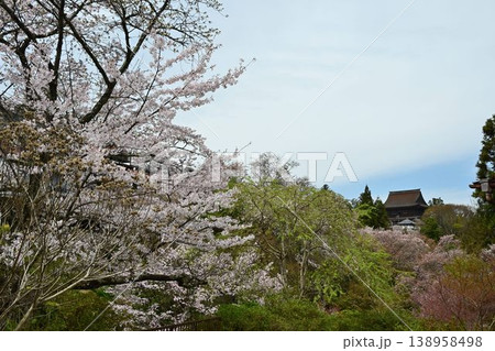 世界遺産「紀伊山地の霊場と参道」吉野山の桜 世界遺産「紀伊山地の霊場と参道」吉野山の桜 138958498