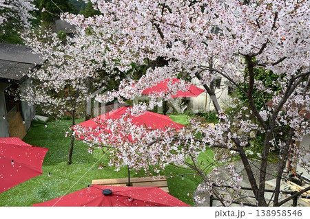 世界遺産「紀伊山地の霊場と参道」吉野山の桜 138958546