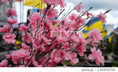 Close up of pink sakura flowers as memorial decoration in ukrainian military cemetery. At blur background countless national flags rise over graves of soldiers creating solemn tribute to sacrifice Close up of pink sakura flowers as memorial decoration in ukrainian military cemetery. At blur background countless national flags rise over graves of soldiers creating solemn tribute to sacrifice 138958550
