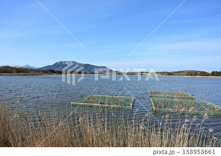 春の佐潟公園と広がる湖の景色(新潟県新潟市西区) 春の佐潟公園と広がる湖の景色(新潟県新潟市西区) 138958661