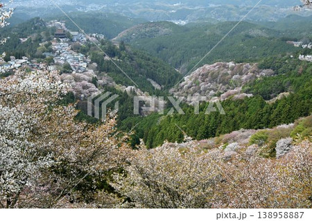 世界遺産「紀伊山地の霊場と参道」吉野山の桜 世界遺産「紀伊山地の霊場と参道」吉野山の桜 138958887