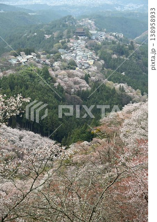 世界遺産「紀伊山地の霊場と参道」吉野山の桜 世界遺産「紀伊山地の霊場と参道」吉野山の桜 138958933