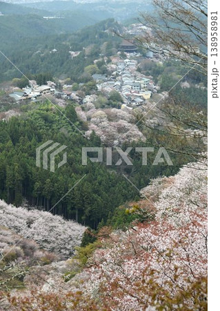 世界遺産「紀伊山地の霊場と参道」吉野山の桜 138958981