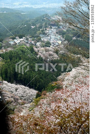 世界遺産「紀伊山地の霊場と参道」吉野山の桜 138958982