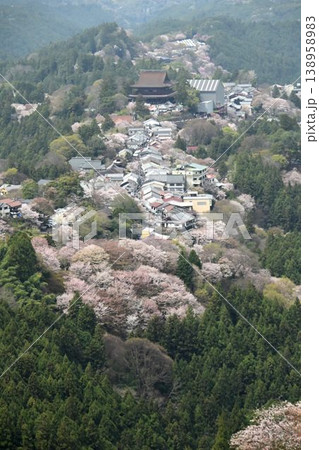 世界遺産「紀伊山地の霊場と参道」吉野山の桜 138958983