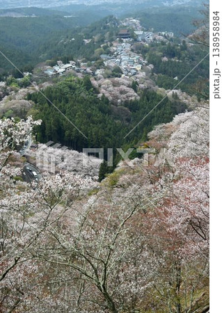 世界遺産「紀伊山地の霊場と参道」吉野山の桜 138958984