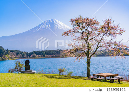 （静岡県）桜咲く田貫湖畔、逆光で眩しい富士 138959161