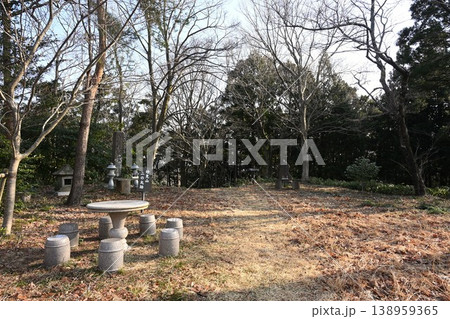 森の中を進む妙法寺の登山道(新潟県長岡市) 森の中を進む妙法寺の登山道(新潟県長岡市) 138959365