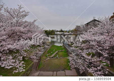 京都　岡崎疏水　南禅寺船溜の桜 138959504