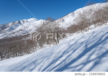 快晴の雪山風景　雪の斜面に伸びる木々の影と遠くに望む冬の稜線 138959602