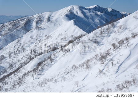 冬の壮大な雪稜と山岳風景　青空の下に広がる雪の斜面と木々の情景 138959687
