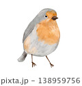 Watercolour forest bird with orange color. Isolated clipart. Hand drawn texture illustration 138959756