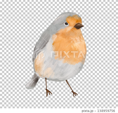 Watercolour forest bird with orange color. Isolated clipart. Hand drawn texture illustration Watercolour forest bird with orange color. Isolated clipart. Hand drawn texture illustration 138959756