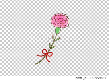 簡單的粉紅康乃馨插畫 138959834