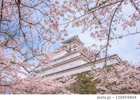 鶴ヶ城（若松城）と満開の桜　日本さくら名所100選　日本100名城 138959904