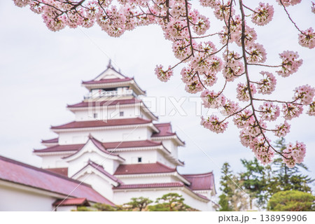 鶴ヶ城（若松城）と満開の桜　日本さくら名所100選　日本100名城 138959906