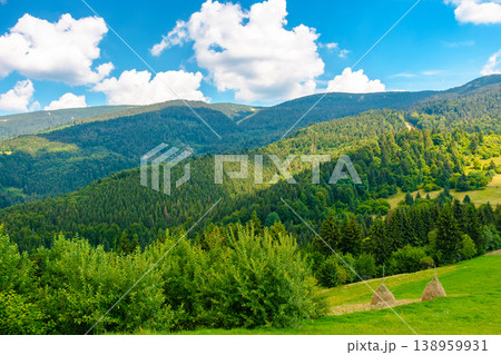 carpathian mountain hay field in afternoon light. alpine countryside summer landscape with green valley behind the woods on the grassy slope. clouds on a bright blue sky. serene highland background 138959931