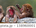 温泉猿 138960001