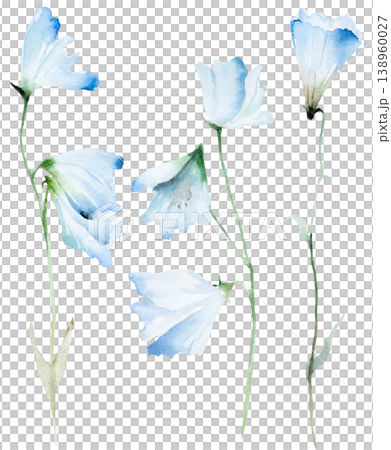 Watercolor hand drawn light blue bellflowers isolated illustration, floral wedding stationery 138960027
