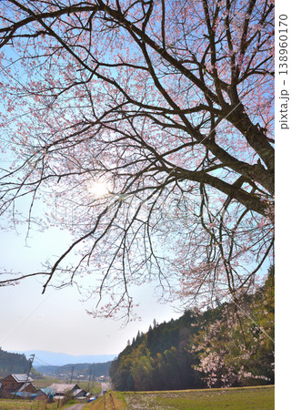 《岐阜県》恵那市武並町 洞禅院の桜 《岐阜県》恵那市武並町 洞禅院の桜 138960170