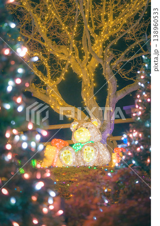 クリスマスツリーのある風景 クリスマスツリーのある風景 138960533