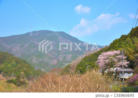 《岐阜県》恵那市武並町 満開の桜と笠置山 《岐阜県》恵那市武並町 満開の桜と笠置山 138960695