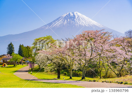 (静岡県)桜が咲いた田貫湖キャンプ場と富士山 (静岡県)桜が咲いた田貫湖キャンプ場と富士山 138960796
