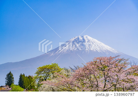 （静岡県）桜が咲いた田貫湖キャンプ場と富士山 138960797