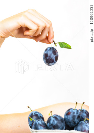 Girl holds plum fruits 138961355