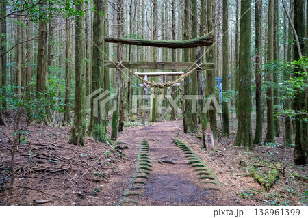 高岩神社参道の鳥居(南島原市) 高岩神社参道の鳥居(南島原市) 138961399