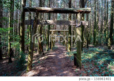 高岩神社参道の鳥居(南島原市) 高岩神社参道の鳥居(南島原市) 138961401