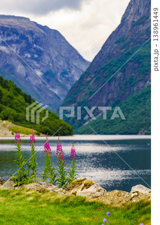 View on fjord Sognefjord, Gudvangen Norway View on fjord Sognefjord, Gudvangen Norway 138961449
