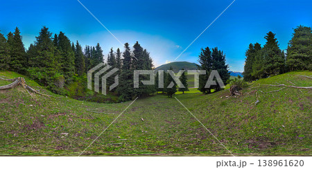 Immersive 360 Degree Panorama of Serene Coniferous Forest on Hillside Immersive 360 Degree Panorama of Serene Coniferous Forest on Hillside 138961620