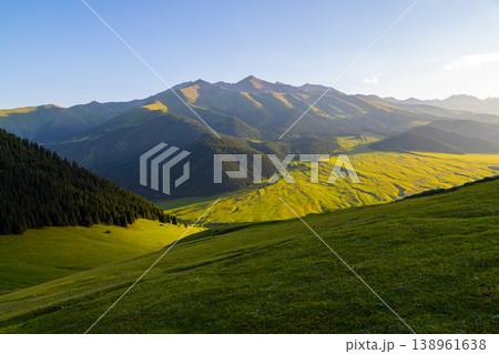 Majestic mountain landscape with green meadows and pine forest in Kyrgyzstan 138961638