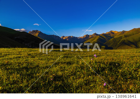 Serene wildflowers and mountains under clear sky in Kyrgyzstan Serene wildflowers and mountains under clear sky in Kyrgyzstan 138961641