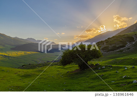 Majestic sunset over valley with tree and mountains in Kyrgyzstan Majestic sunset over valley with tree and mountains in Kyrgyzstan 138961646
